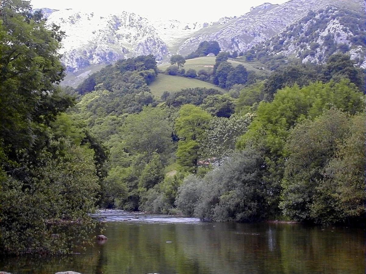 Apto Valle Encantado, Piscina Y Vistas, Tu Escapada Perfecta Gibaja Екстер'єр фото